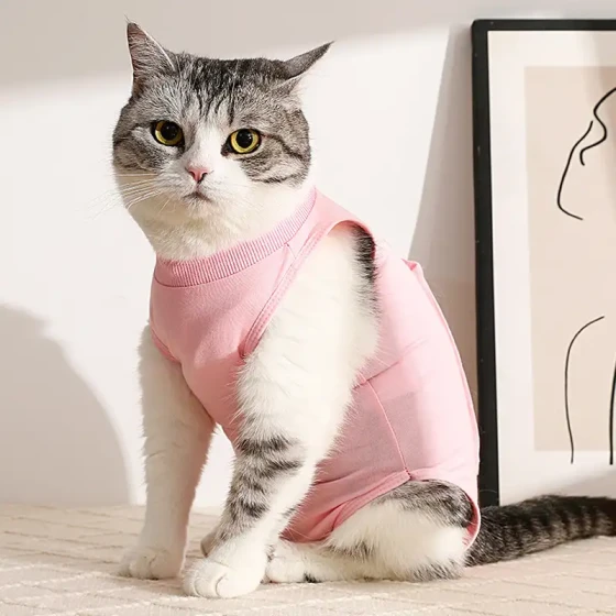 Cat Neuter Suit