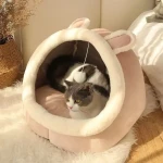 product_pic