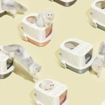 product_pic