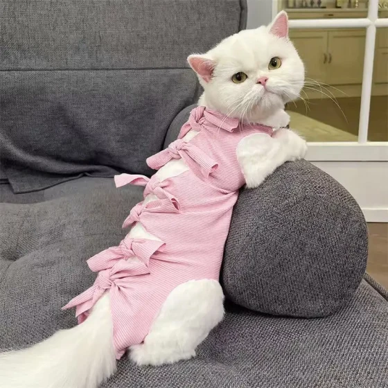Cat  Post-Surgery, Anti-Lick & Anti-Weaning Vest