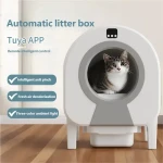 product_pic