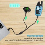 product_pic
