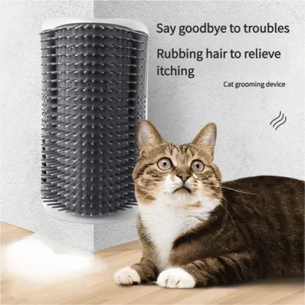 product_pic