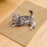 product_pic