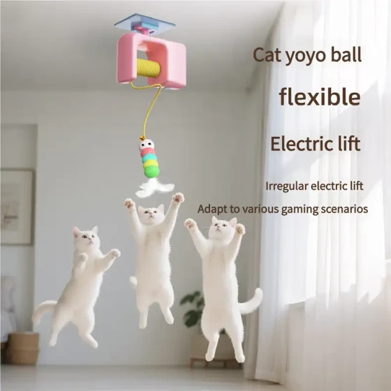 Electric Yo-Yo Cat Toy: Interactive Self-Play & Exercise Toy