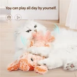 product_pic