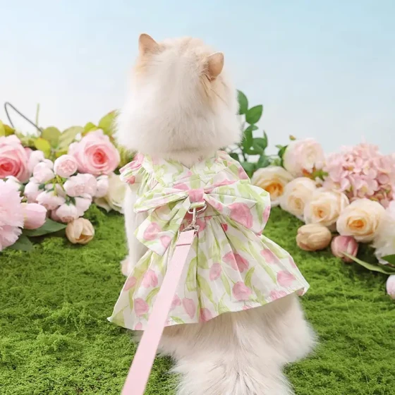 Princess Dress & Leash Set for Cats