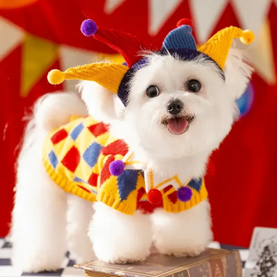 Funny Clown Sweater Dog Costume for Fall & Winter