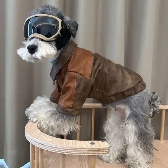 Retro Leather Dog Jacket: Vintage Coat for Fall & Winter