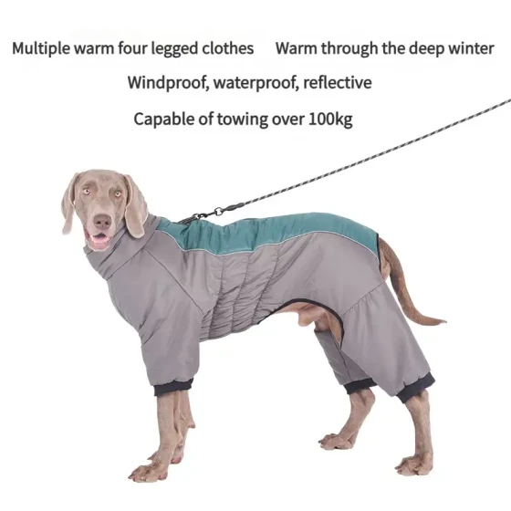 Cozy Padded Dog Homewear for Golden Retrievers & Labradors