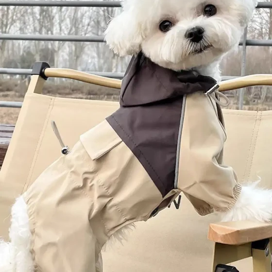 Stylish Dog Raincoat: Four-Legged Windbreaker