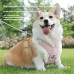product_pic