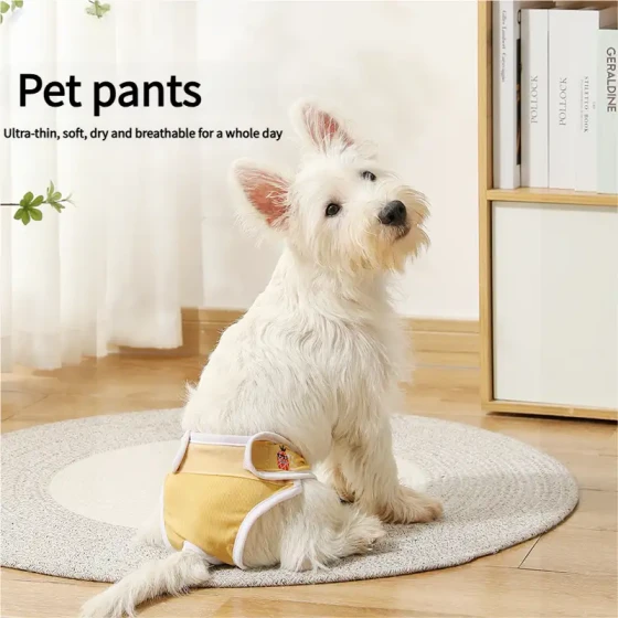 Female Dog Diapers: Anti-Harassment Safety Pants