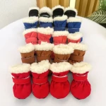 product_pic