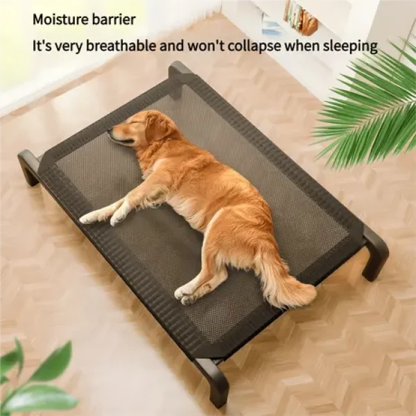 product_pic