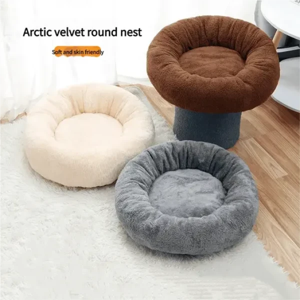 product_pic