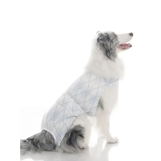 Reusable Dog Diapers for Heat Cycles & Post-Surgery