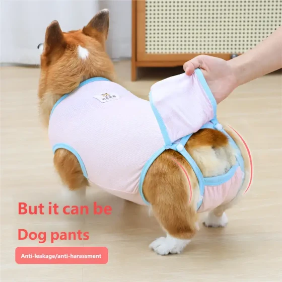 Dog Diapers with Tailhole: Washable Sanitary Pants for Female Dogs