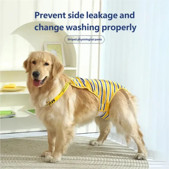 Washable Dog Diapers: Heavy-Duty Sanitary Pants for Large Female Dogs