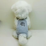 product_pic