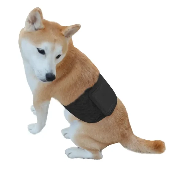 Male Dog Belly Band: Washable & Reusable Urine Wrap