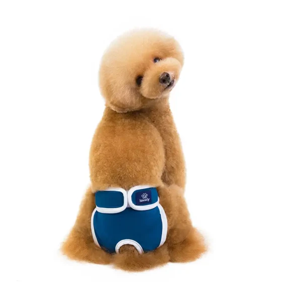Female Dog Diapers