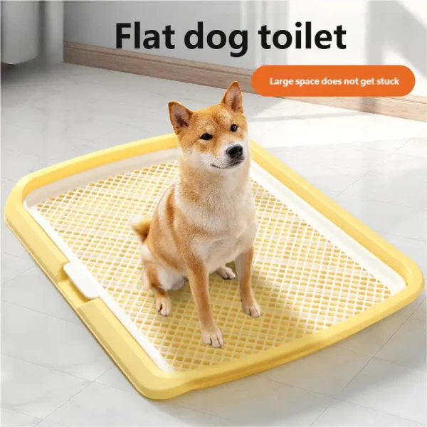 product_pic