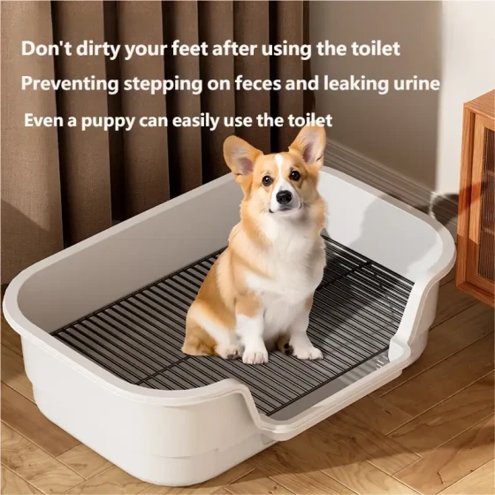Extra-Large Dog Potty: Anti-Splash High-Sided Slanted Guard