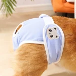 product_pic