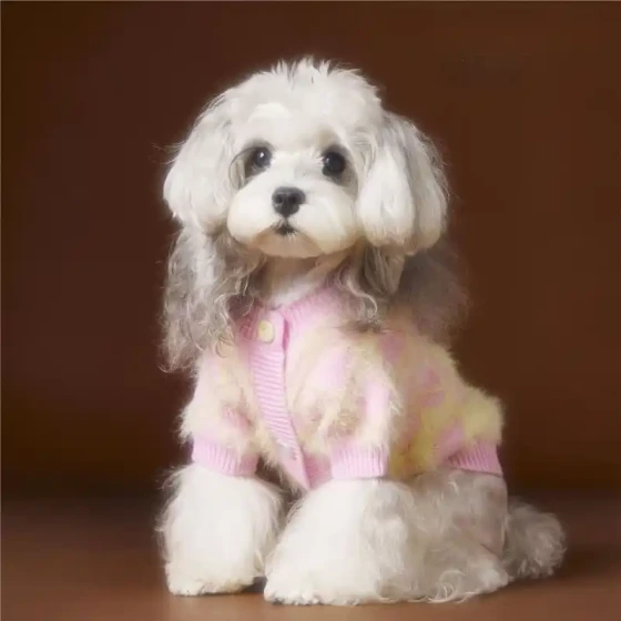 Dog Clothes for Autumn and Winter