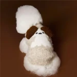 product_pic