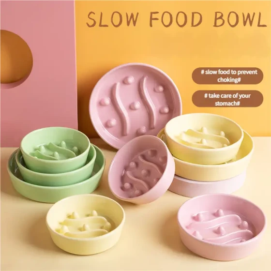 Ceramic Slow Feeder Pet Bowl: Anti-Choke & Non-Slip Food Bowl