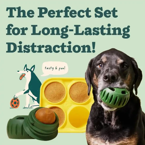 Silicone Treat Dispenser Dog Toy: Durable Chew & Puzzle Ball