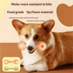 product_pic