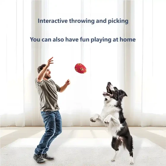 Durable & Bite-Resistant Dog Toy Ball