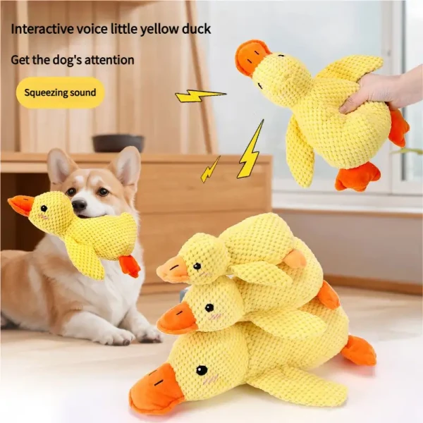 product_pic
