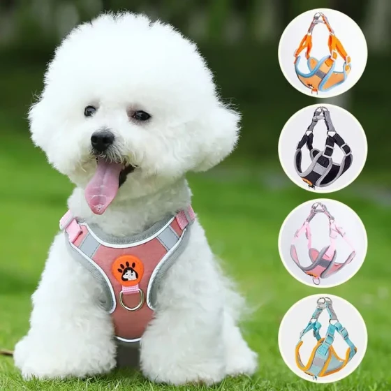 Dog Harness Leash Set Reflective Vest Harness for Small Dogs Teddy Corgi Bichon Walking Leash Dog Lead