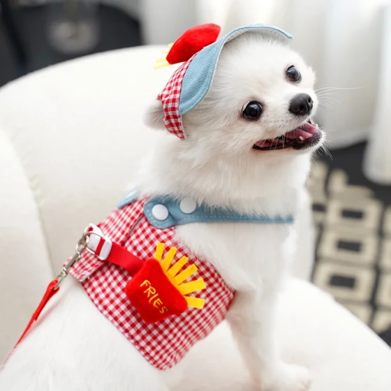 Dog Harness & Leash Set with Vest-Style Pet Clothing