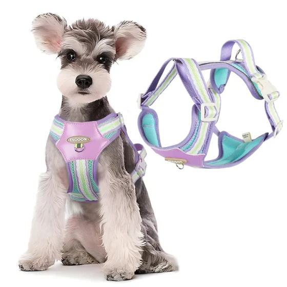 Reflective & Breathable Dog Harness Vest with Leash for Small Dogs
