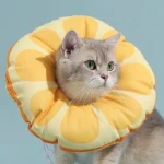 product_pic