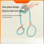 product_pic
