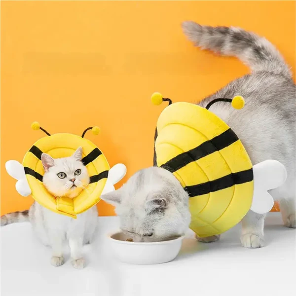 product_pic