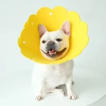 product_pic