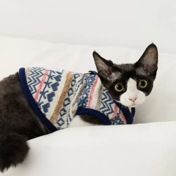 Autumn and Winter Pet Clothing, Leash Vest, Cotton Coat, Cat Clothes, Dog Clothes, Devon Rex Cat, Hairless Small Dogs
