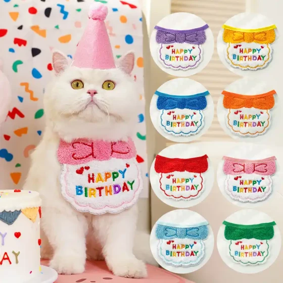 Birthday Party Outfit for Cats & Dogs