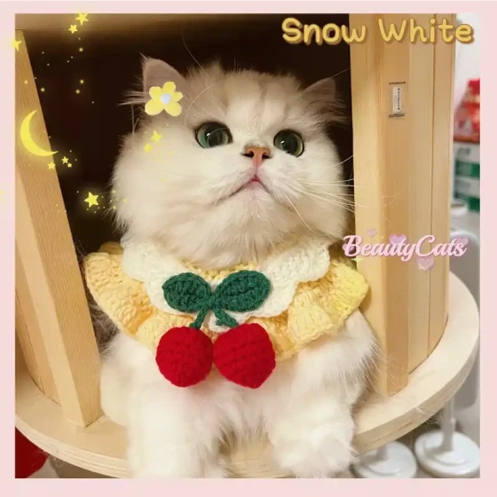 Handmade Knitted Pet Scarf with Cherry Design