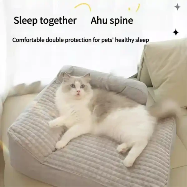 product_pic