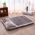 product_pic