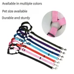 product_pic