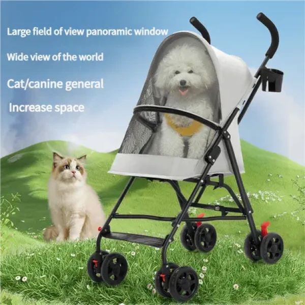 product_pic